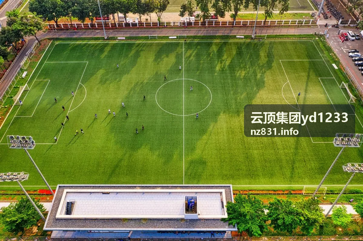 云顶集团yd1233集团服务指南适用场景示意